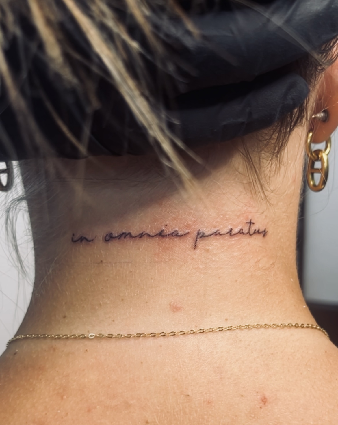Tattoo Wolle Tattoo Mallorca